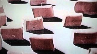 EYELIDS "SEAGULLS INTO SUBMISSION"