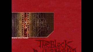 Paint It Black - The Black Dahlia Murder (Rolling Stones Cover)