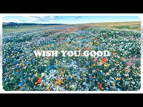 ADMT - Wish You Good (Lyric Video)