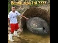 Hot Heboh Benda Paling Aneh Di Dunia Ini Ditemukan Di Belakang Rumah, paling seru!
