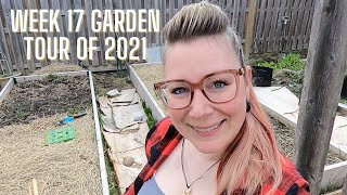 WEEk 17 2021 GARDEN TOUR | Growing food in small spaces