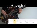 Ancestral (Steven Wilson) - Bass Cover (With Tabs) by Leo Düzey
