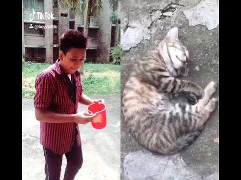 Yung shan shu yana chu khe