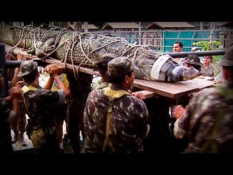 Amazonia: The Price of Life