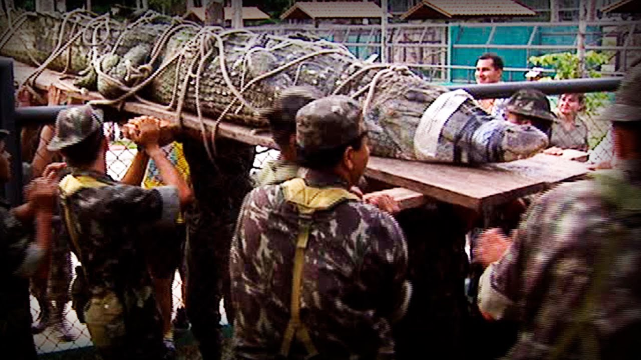 Amazonia: The Price of Life