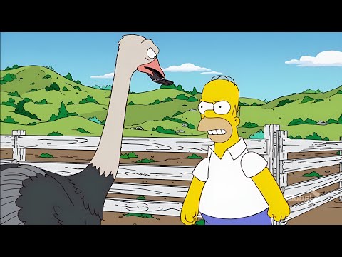 Homer gegen die Gans - Besten Szenen #5 Die Simpsons auf Deutsch