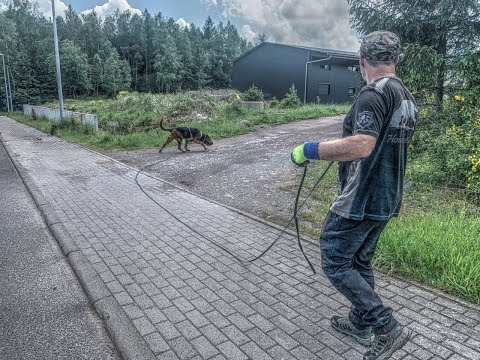 Training zwischen Grau und Grün