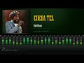 Cocoa Tea - Bad Bwoy (Swing Easy Riddim) [HD]