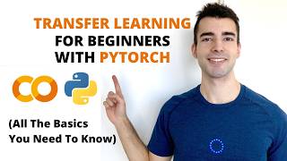 PyTorch Transfer Learning Tutorial 2026 - Build an Image Classifier Fa