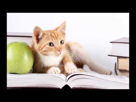 Dia da maldade do aluno