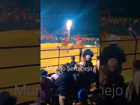 Rodeio em Ibertioga/MG #mundosertanejo #cavalo #sertanejobrasileiro #cutiano #rodeio #country