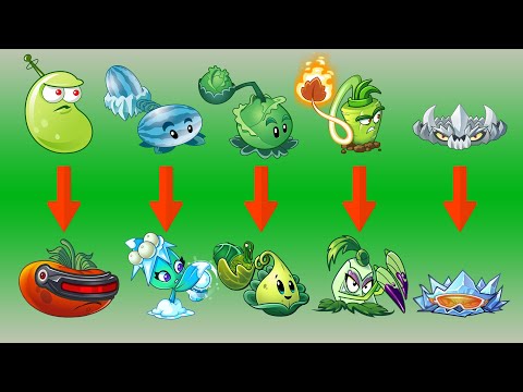 Every Plants Evolution NOOB Vs PRO Plants - PvZ 2 Evolution