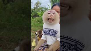 Download lagu Wow Yaya so lovely 🤩 mp3