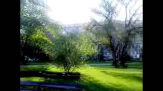 Video Marek Dusil Blend -Máj v Sherwoodu (May in Sherwood) (official m