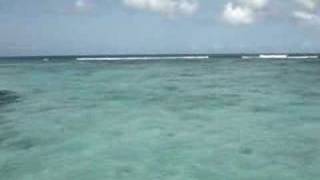 preview picture of video '[2005-11-20] Tobago coral reef boat trip'