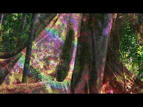 Day 117 PRESSURE - Cho - I am Universal Emptiness