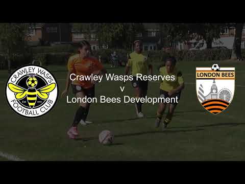 Crawley Wasps Reserves v London Bees Development (Highlights)