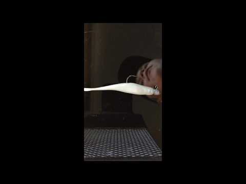 Zman streakz 3.75'' *LURE REVIEW*