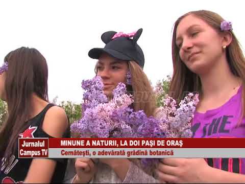 LA CERNATESTI, O ADEVARATA GRADINA BOTANICA