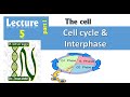 5a Cell Cycle Part1 Interphase Cell Histology