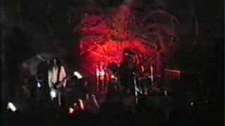 DISHARMONIC ORCHESTRA - Like madness from above , live 1993
