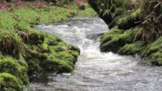 preview picture of video 'Lydford Gorge Dartmoor - a walk around'
