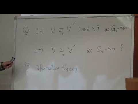 Yuichiro Taguchi (Kyushu Univ.) / On congruences of Galois representations of global fields.