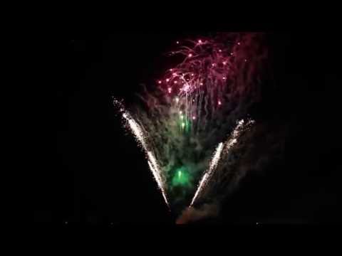 300 shot time rain tail green to purple crossette 1/1  (w)