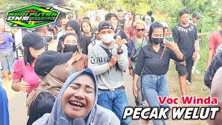 Download lagu ANDI PUTRA 1 Pecak Welut Voc Winda Live Blanakan Tgl 3 Juni 2023 mp3 Download lagu ANDI PUTRA 1 Pecak Welut Voc Winda Live Blanakan Tgl 3 Juni 2023 mp3
