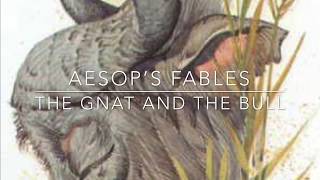 Aesop’s Fables The Gnat and the Bull