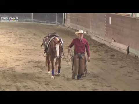 RDVideo - Spring Stakes Ercha - Verolanuova 2012 - Adelmo Vannini su A Time To Sparkle