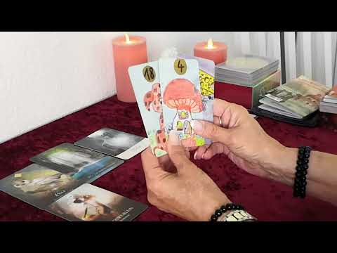 🦋 🦋 KLEINES WOCHENENDORAKEL (18.+19.06.2022) 🐞 🐞