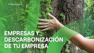 Endesa El rol de las empresas en la descarbonización. anuncio