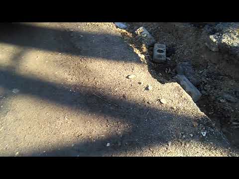 Drumurile noastre....timis