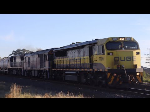 Qube Cement 5MS7 With 1109, GL109 and VL362!