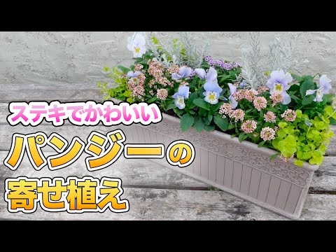 園芸 エレカンパン、エレカンパン