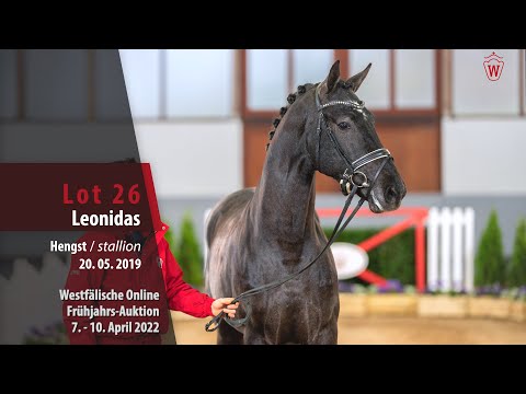 Online Frühjahrs-Auktion Lot 26 Leonidas Hengst v. Libertad - Fidermark