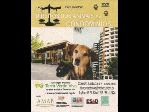 Instituto Nina Rosa - Direitos dos Animais em Condomínios