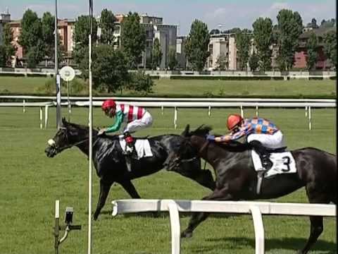 Premio Primi Passi 2013 (GR 3)