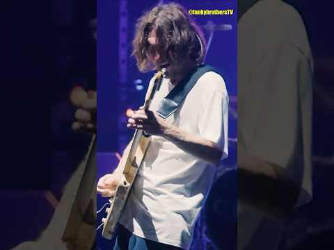 The Heavy Wing solo by John Frusciante 🔥 #johnfrusciante #redhotchilipeppers #live
