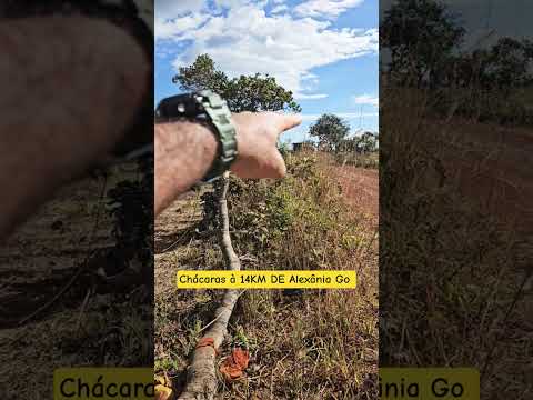 CHÁCARAS DE 20.000 m² EM ALEXÂNIA–GO