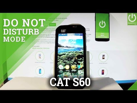 Turn On / Off Do Not Distrub Mode in CAT S60 - Use DND Mode