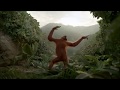 Birthday Orangutan Dance Beatles Cover