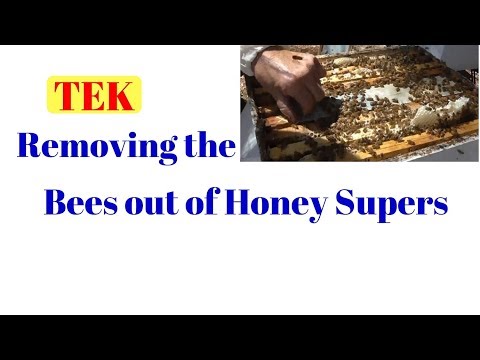 2. 10 Removing the Bees out of Honey Supers