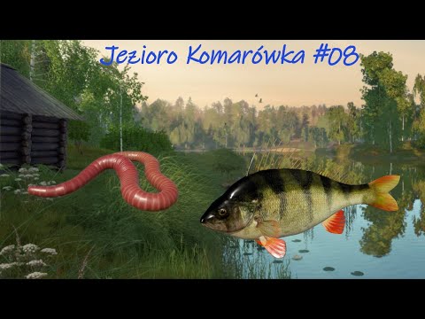 Russian Fishing 4 - #08 Okoń Karaś Czerwony robak Spławik spot Perch Jezioro Komarówka Mosquito