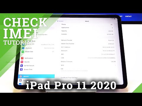 How to Check IMEI / SN in iPad Pro 11 2020 – IMEI Status and Serial Number
