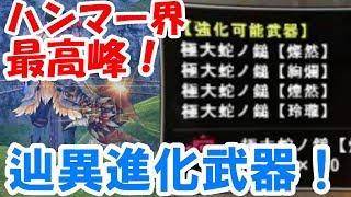 【MHF-ZZ】辿異進化ハンマー派生に決断を！迷い続けた男の出した答え！