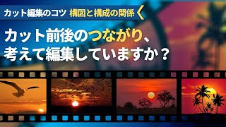 【カット編集のコツシリーズ】第2回 構図と構成の関係 『カットの前後のつながりを考えて編集していますか?』