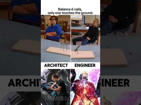Architect vs Engineer 💀