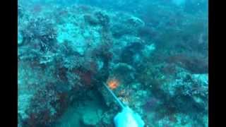 30m dive off Mandurah for crays PR 166 & Fraser